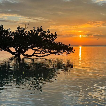 Mangrove Lodge Zanzibar Dış mekan fotoğraf