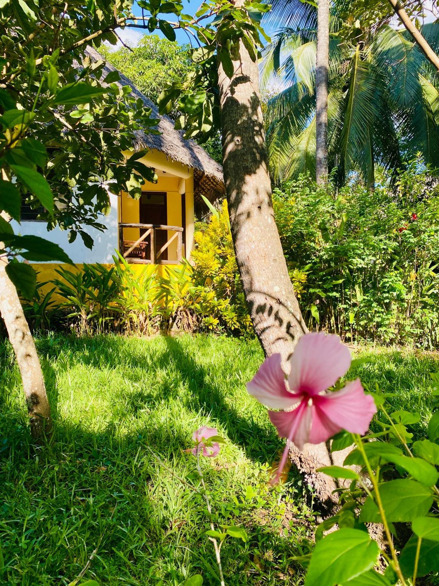 Mangrove Lodge Zanzibar Dış mekan fotoğraf