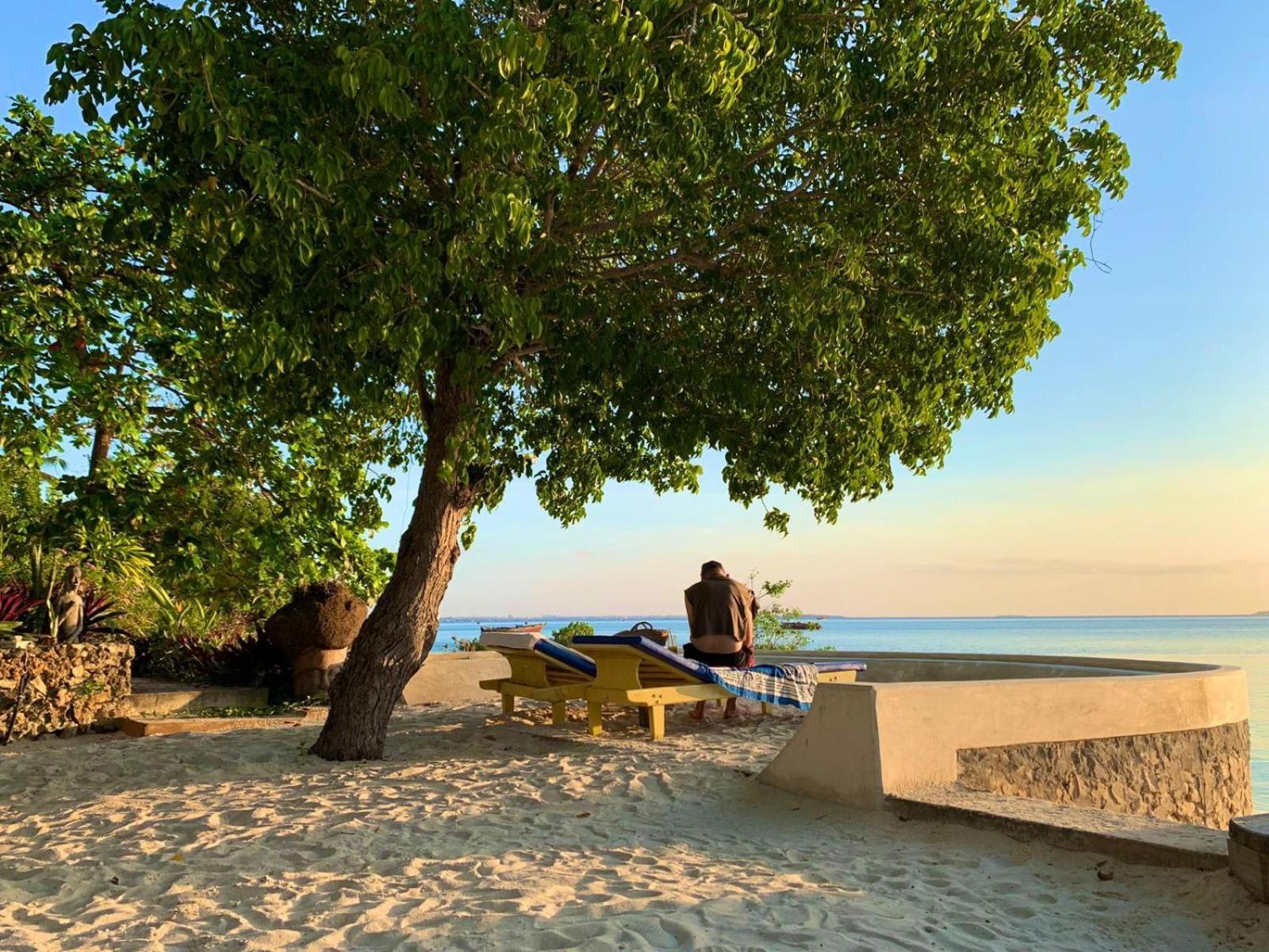 Mangrove Lodge Zanzibar Dış mekan fotoğraf