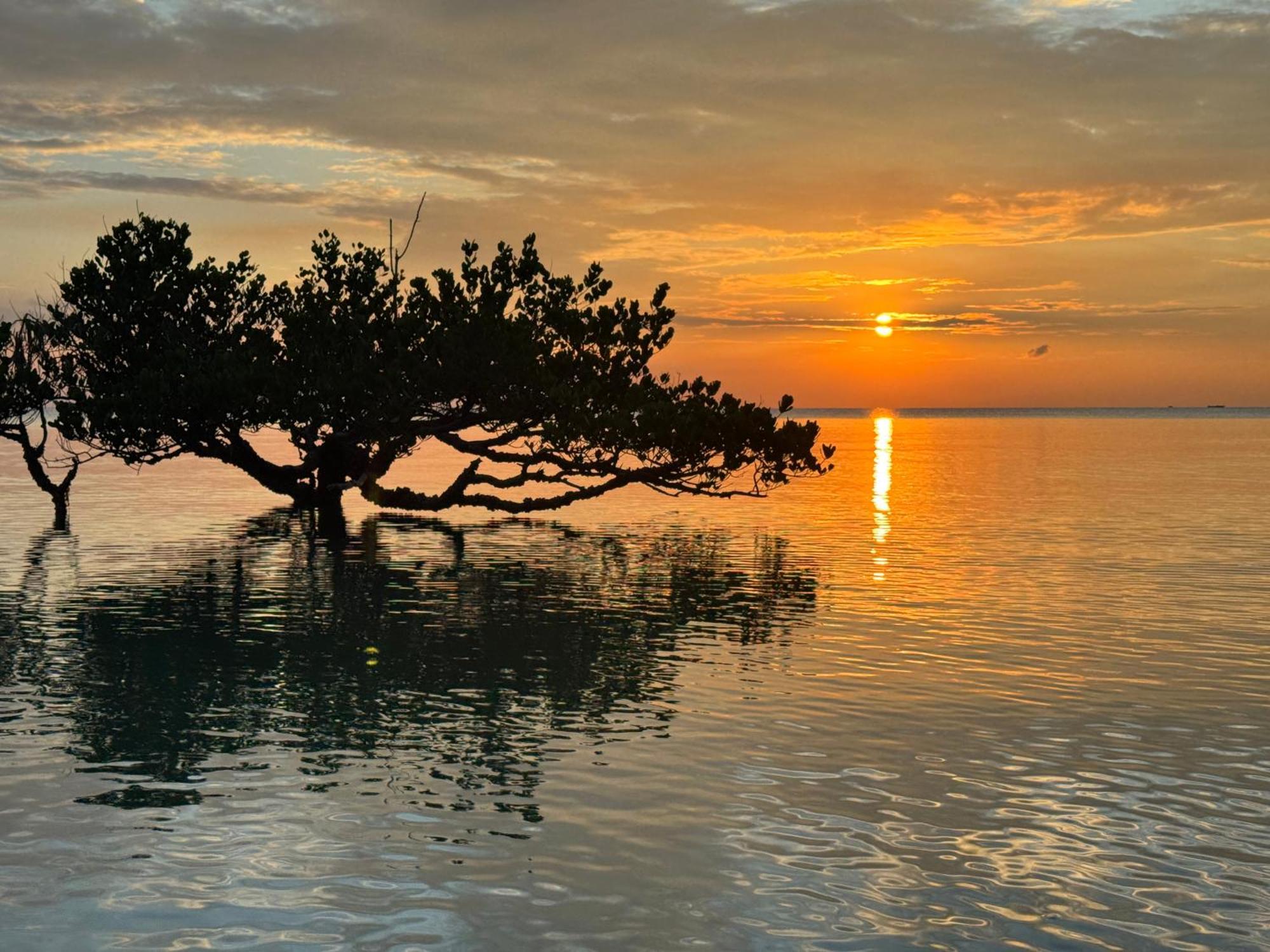 Mangrove Lodge Zanzibar Dış mekan fotoğraf