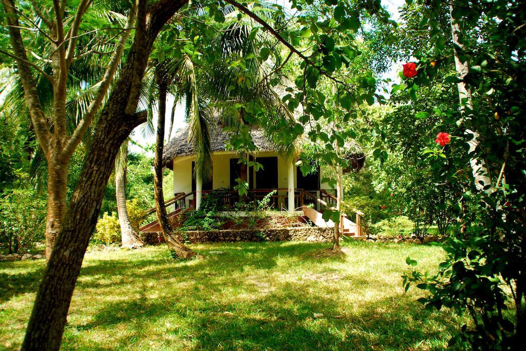 Mangrove Lodge Zanzibar Oda fotoğraf