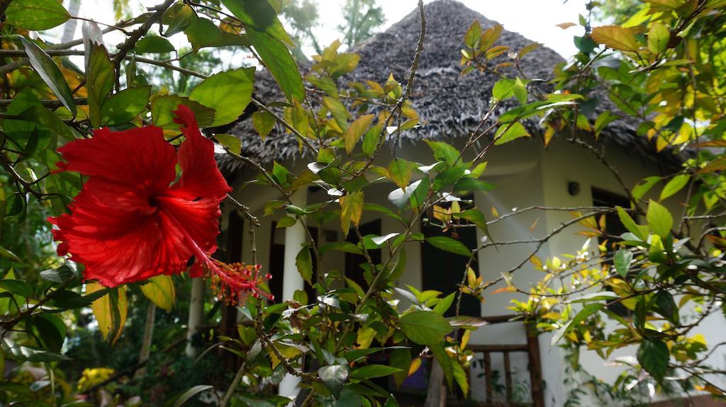 Mangrove Lodge Zanzibar Oda fotoğraf