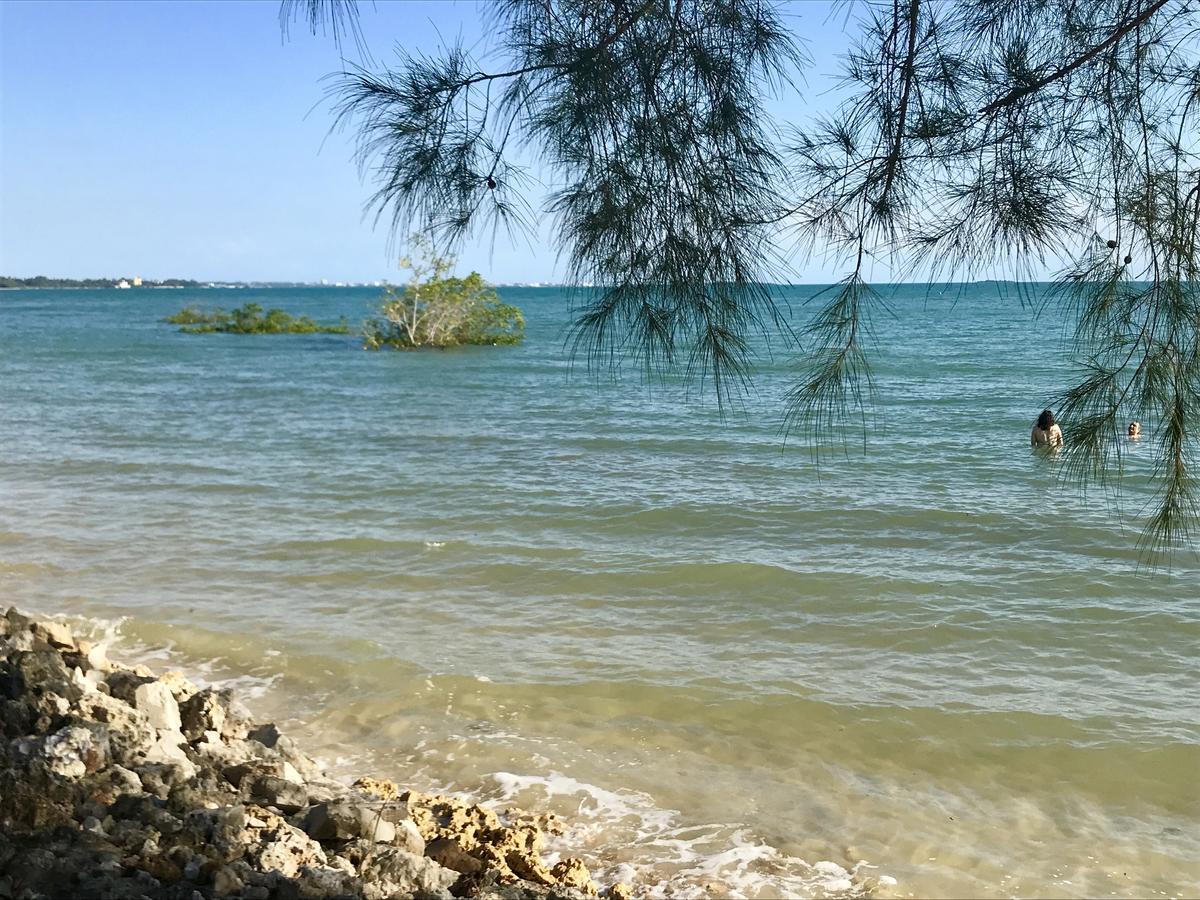 Mangrove Lodge Zanzibar Dış mekan fotoğraf